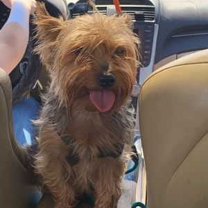 Meet your Posher, Alyssa